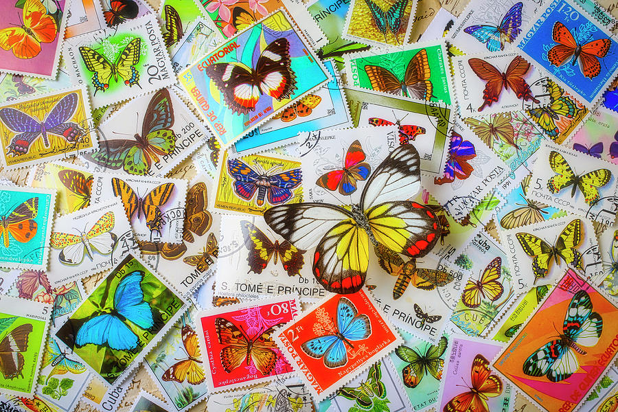 Butterfly On Butterfly Stamps Photograph by Garry Gay