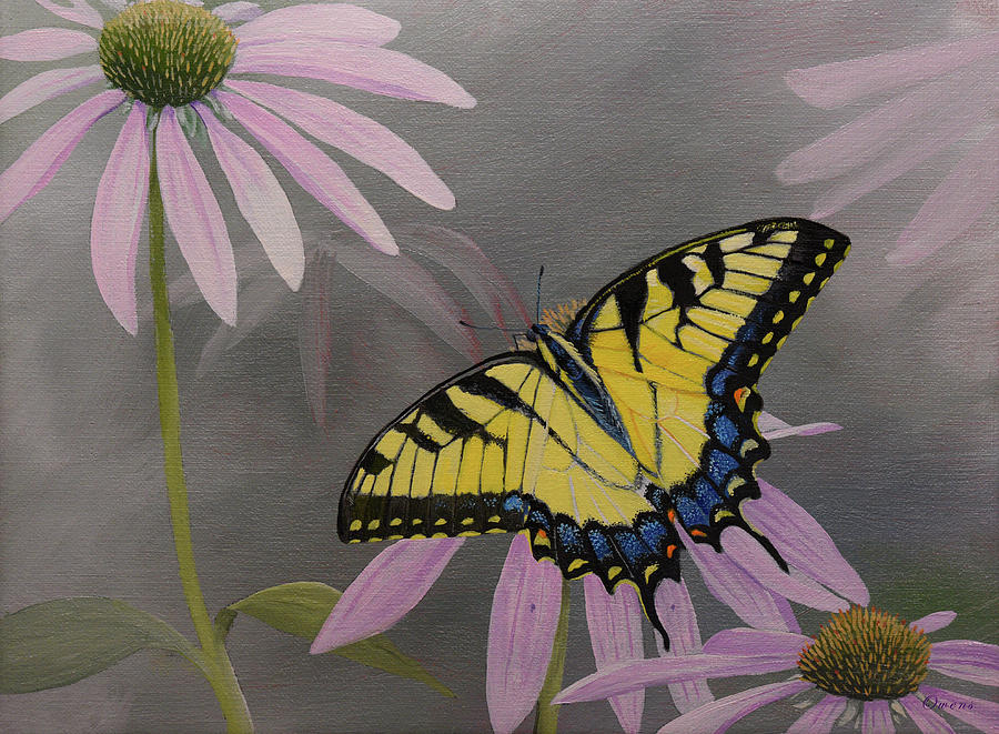 Butterfly on Coneflower Painting by Charles Owens