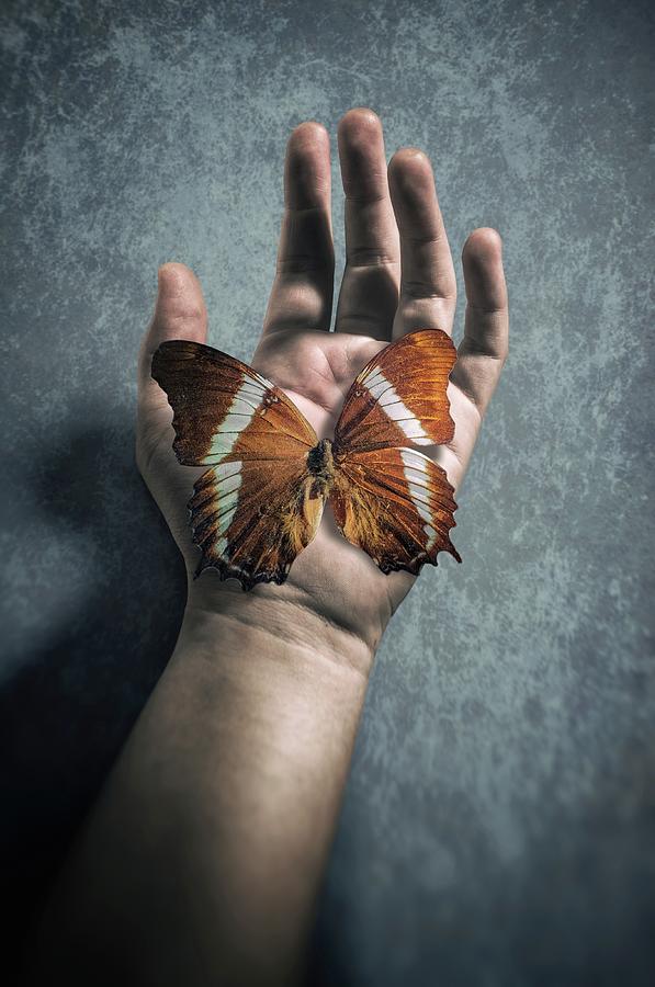 Butterfly on Hand Photograph by Carlos Caetano