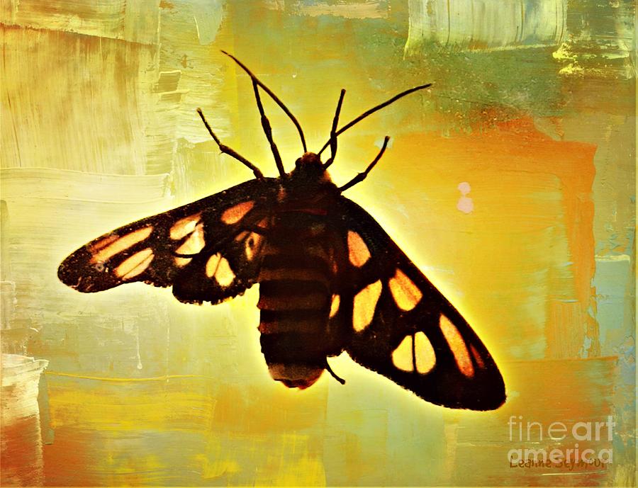 Butterfly On Windowpane Mixed Media by Leanne Seymour