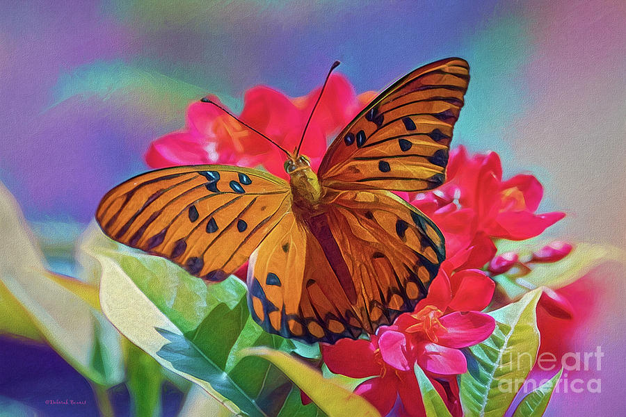 Butterfly on Red Photograph by Deborah Benoit