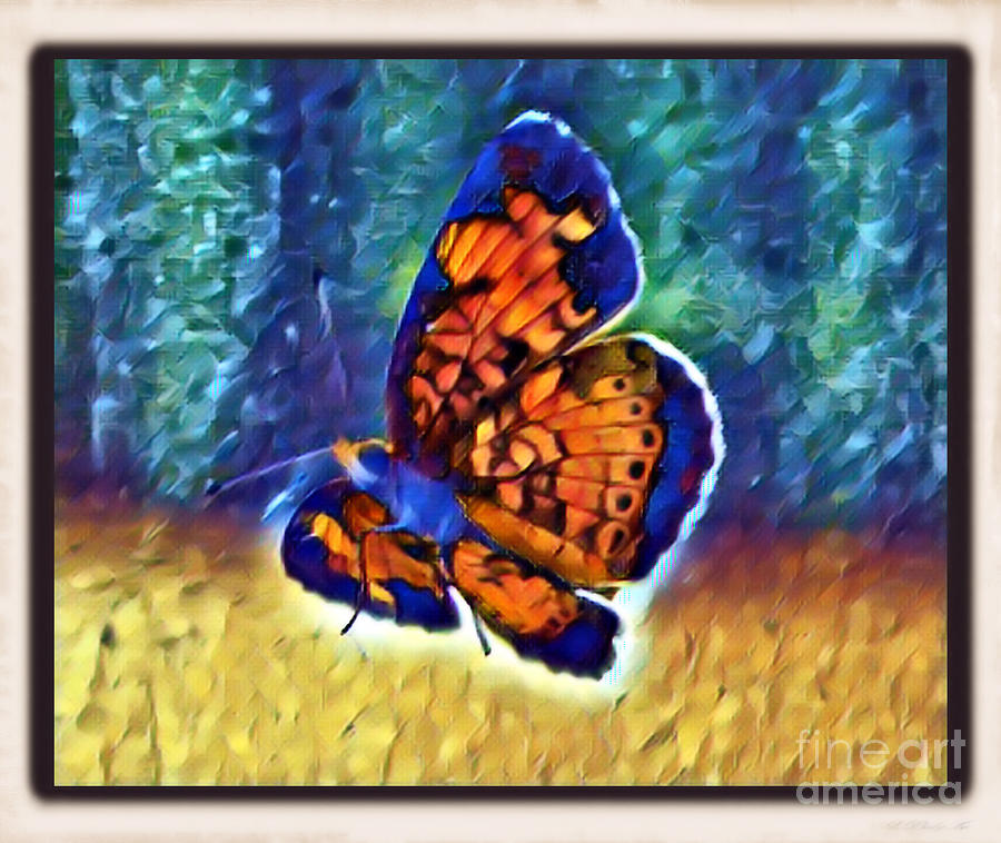 Butterfly on the Screen Photograph by Shirley Moravec