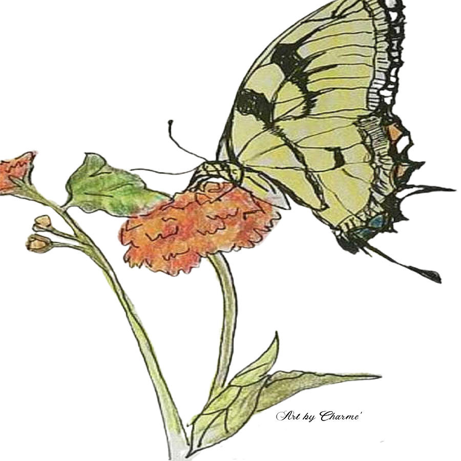 Butterfly on Wild Flower Mixed Media by Charme Curtin