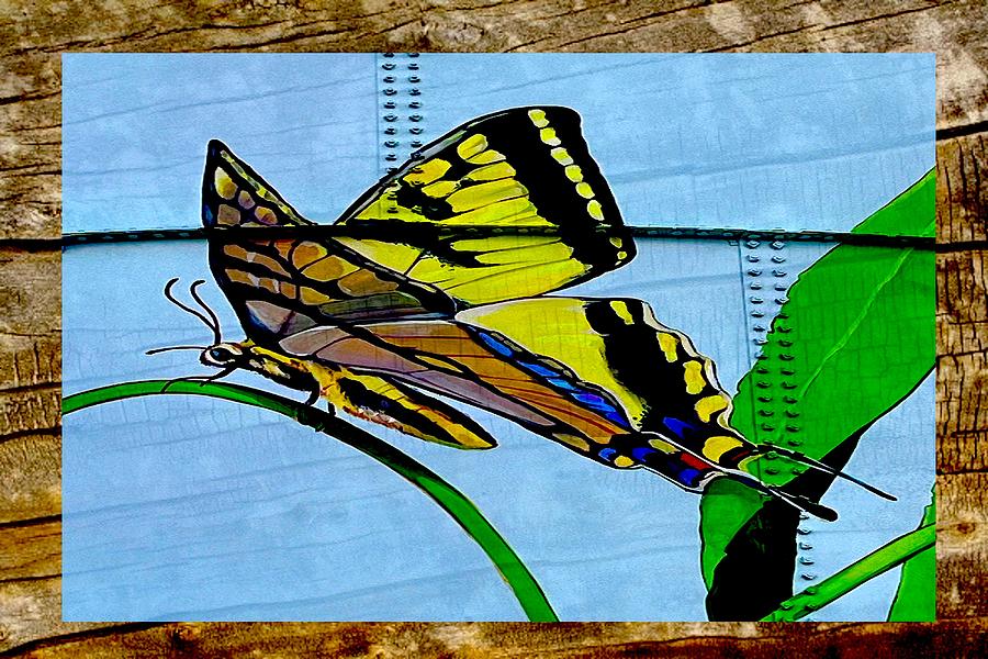 Butterfly On Wood Digital Art by Steven Parker