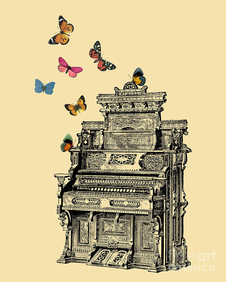 Music Digital Art - Butterfly Organ by Madame Memento