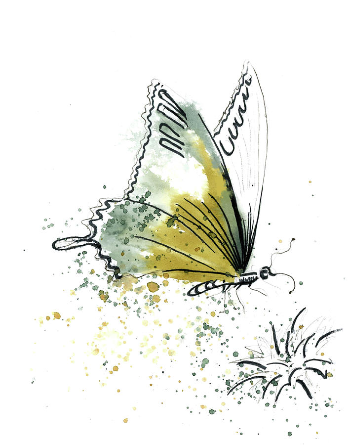 Butterfly Painting - Butterfly by Paintis Passion
