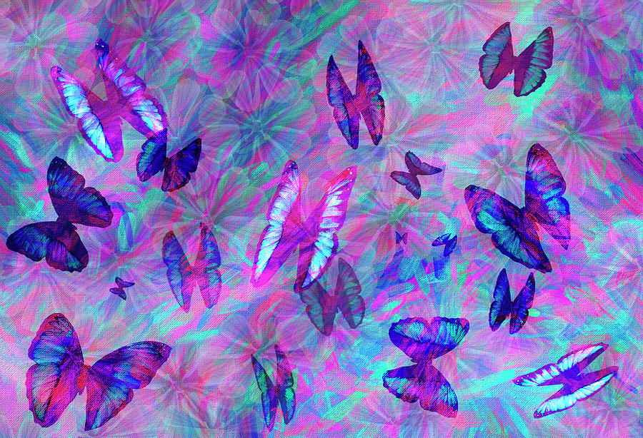 Butterfly Paradise Digital Art by Deborah League