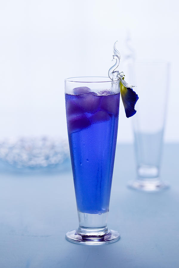 Butterfly pea drink Photograph by AshaSathees Photography