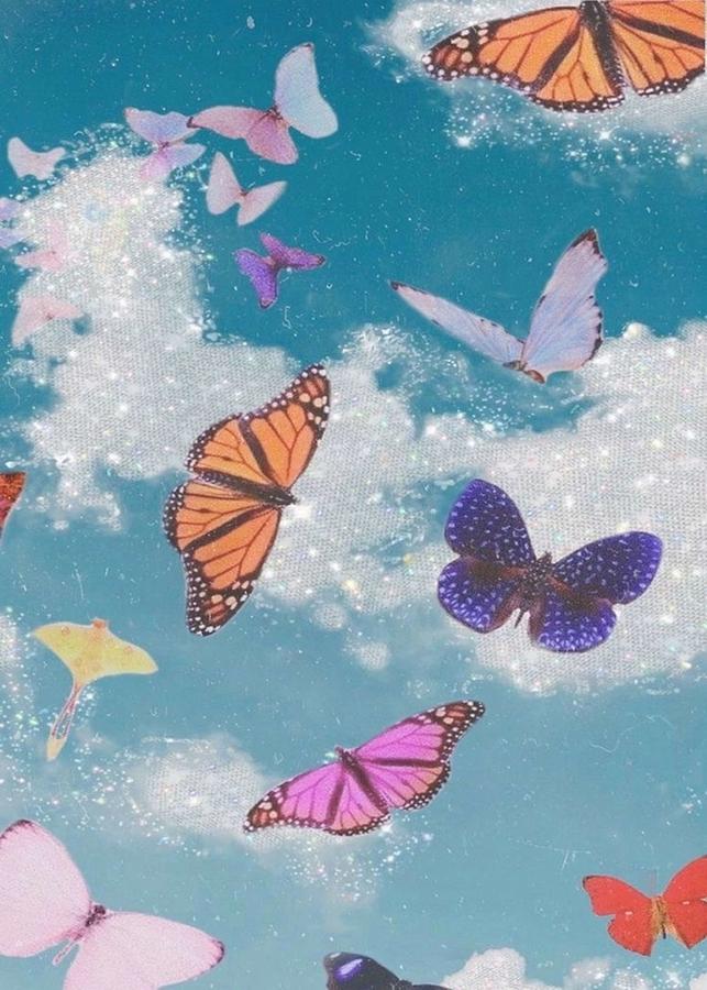 Butterfly poster Poster Digital Art by Kailani Smith