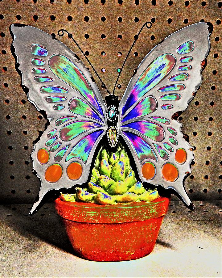 Butterfly Pot Solarized Photograph by Andrew Lawrence