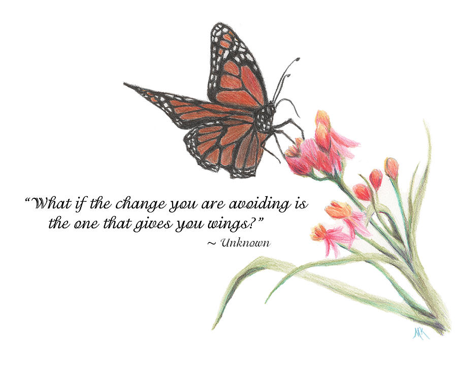 Butterfly Drawing With Quote Drawing by Melodie Kantner