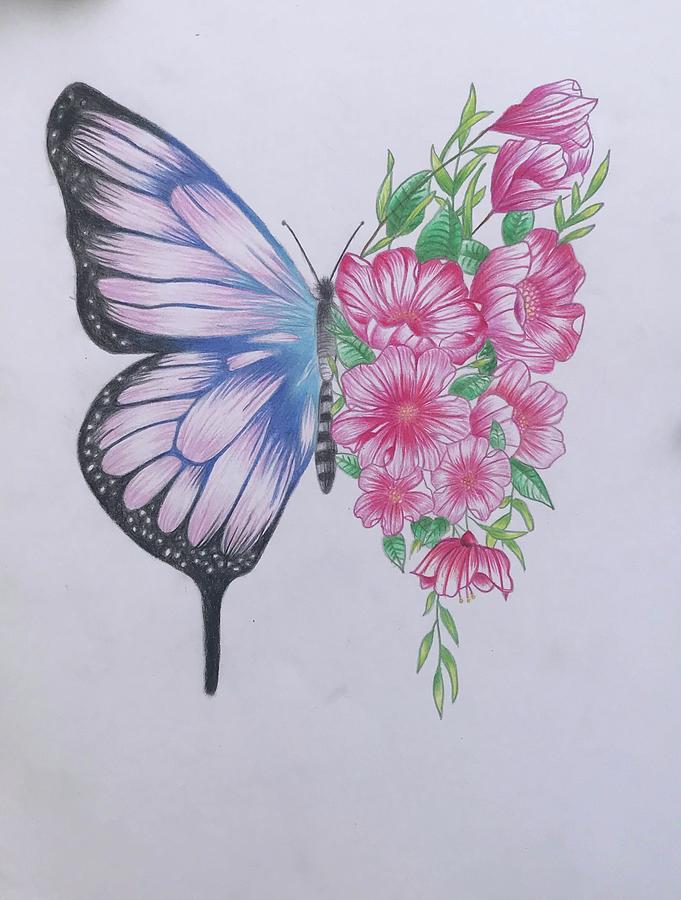 Rainbow Color Colored Drawing Of A Butterfly With Crayons Backgrounds | JPG  Free Download - Pikbest