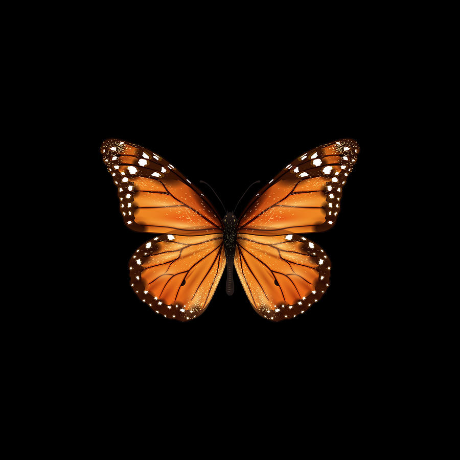Butterfly realistic isolated T-Shirt Painting by Tony Rubino