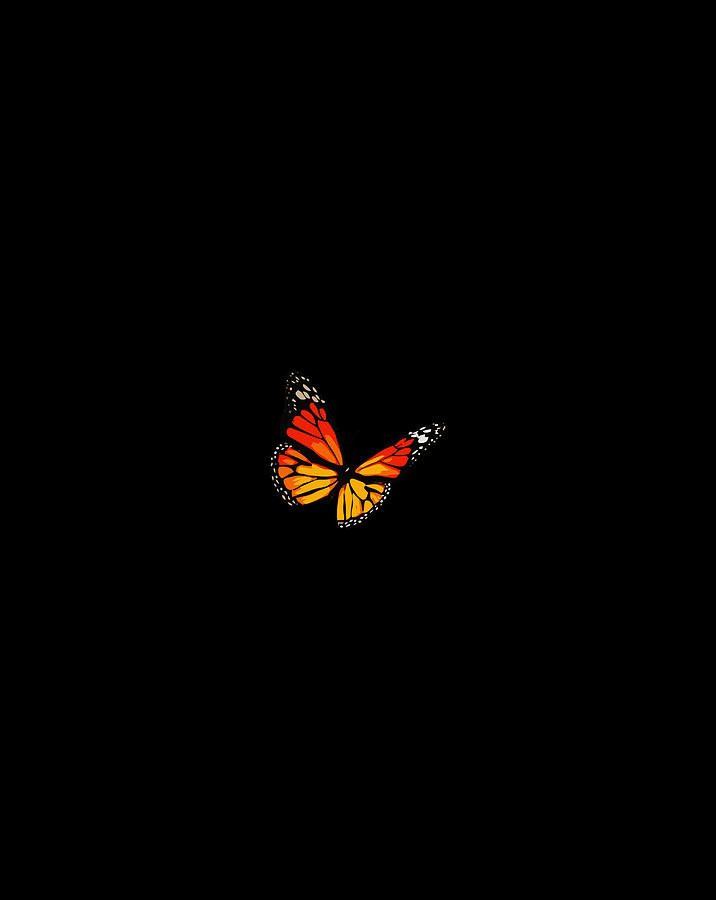 Butterfly Red Orange Soft Aesthetic Emoji Cute Butterflies Drawing by ...