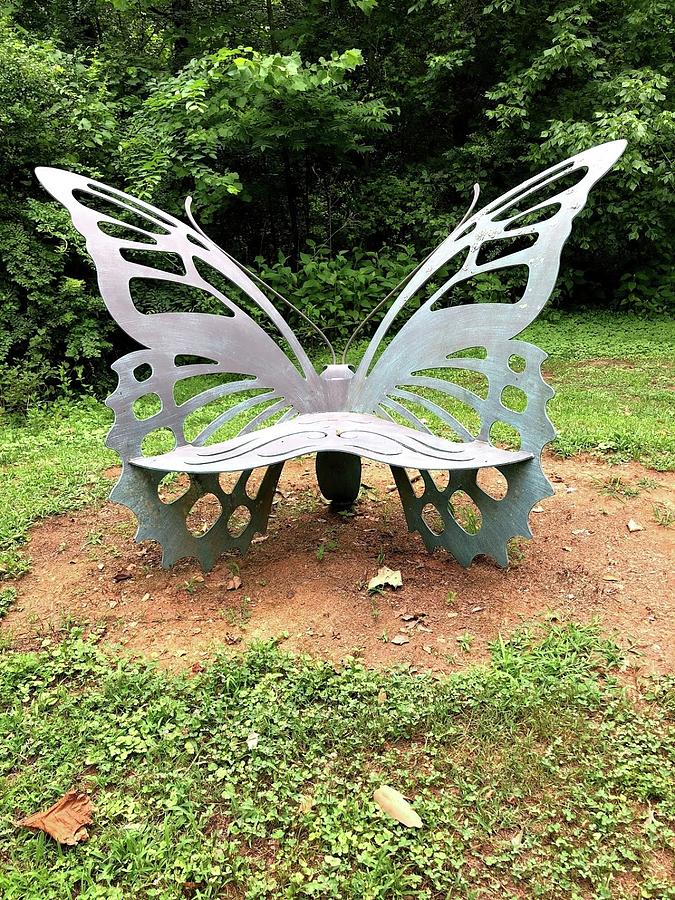 Butterfly Seat Photograph by Rainy Collins