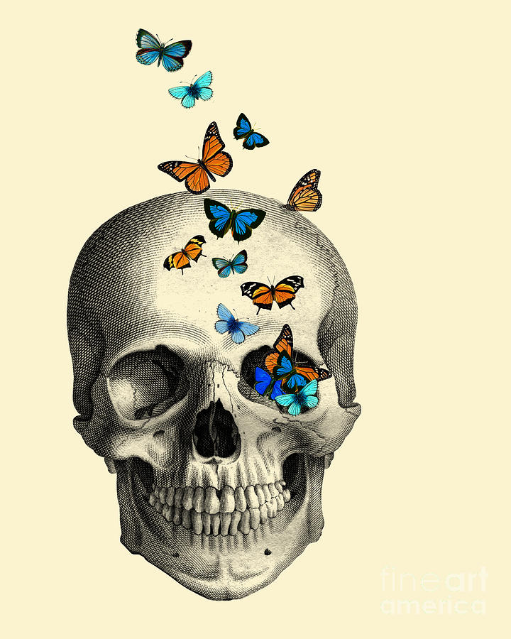 Skull Digital Art - Butterfly skull collage by Madame Memento