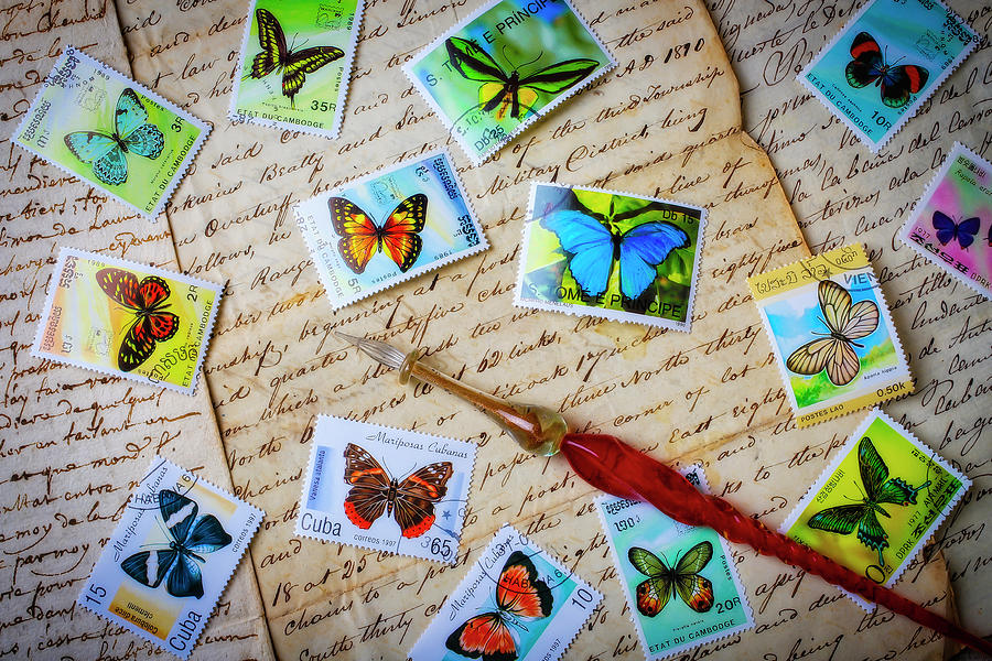 Butterfly Stamps On Old Letters Photograph by Garry Gay