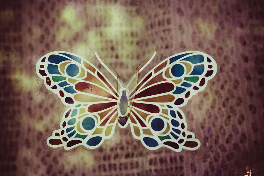 Butterfly Sticker in a Window Photograph by W Craig Photography