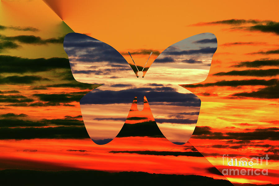 Butterfly Sunrise Painting by Donna L Munro