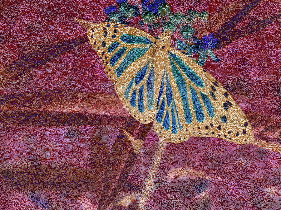 Butterfly Textured Design Photograph by Aimee L Maher ALM GALLERY