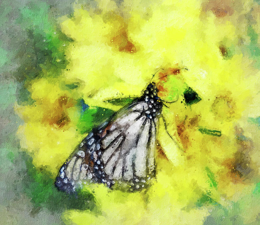 Butterfly Watercolor  Painting by Dan Sproul