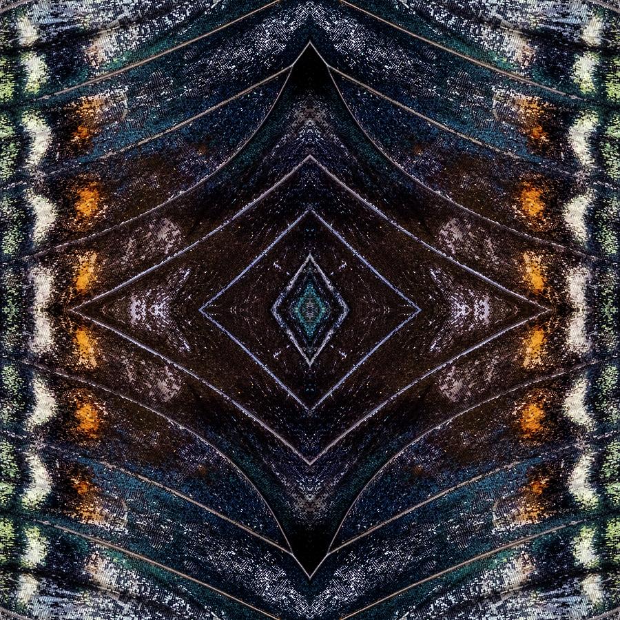 Butterfly Wings Three by Glenn DiPaola Butterfly Wings Three by Glenn DiPaola