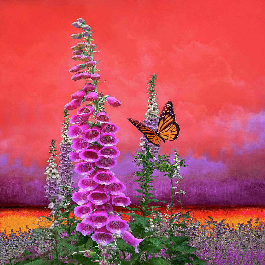 Butterfly With Foxglove Photograph