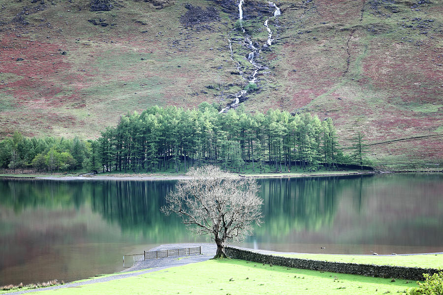 Buttermere Photograph by Nicholas Blackwell