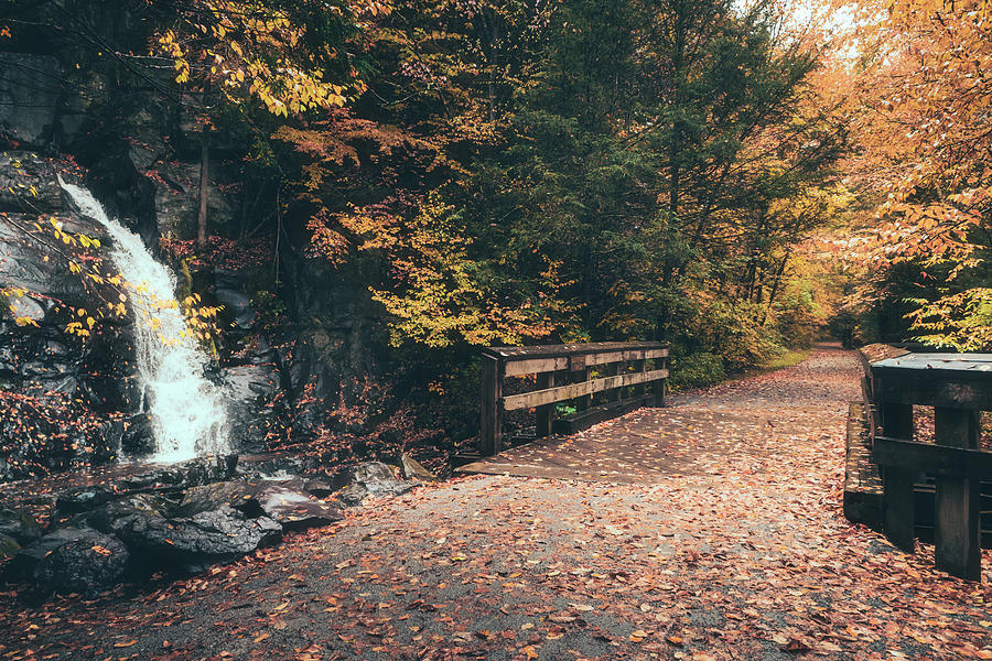 Buttermilk Falls and DL Trail in Autumn Photograph by Jason Fink
