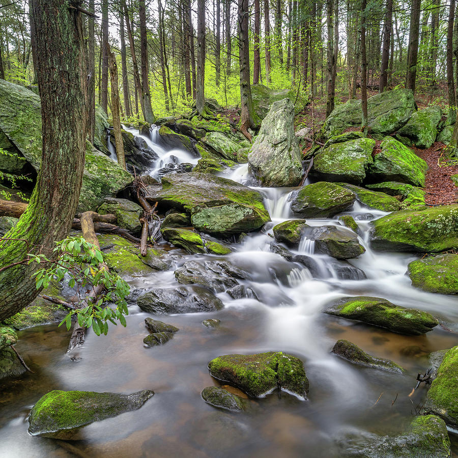 Spring Photograph - Buttermilk Falls Connecticut square 2 by Bill Wakeley
