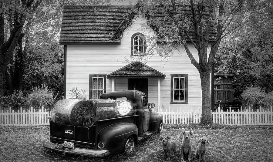 Butternut Creek Farm in Black and White  Photograph by Debra and Dave Vanderlaan