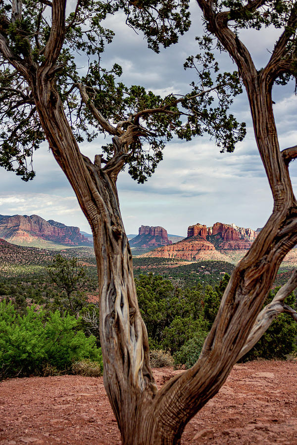 Buttes of Sedona Photograph by Cindy Robinson