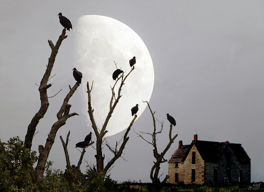 Buzzard Moon Photograph by Christopher McKenzie
