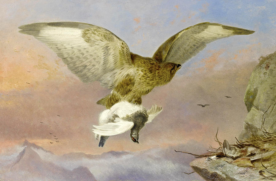 Buzzard with Ptarmigan Painting by Richard Ansdell