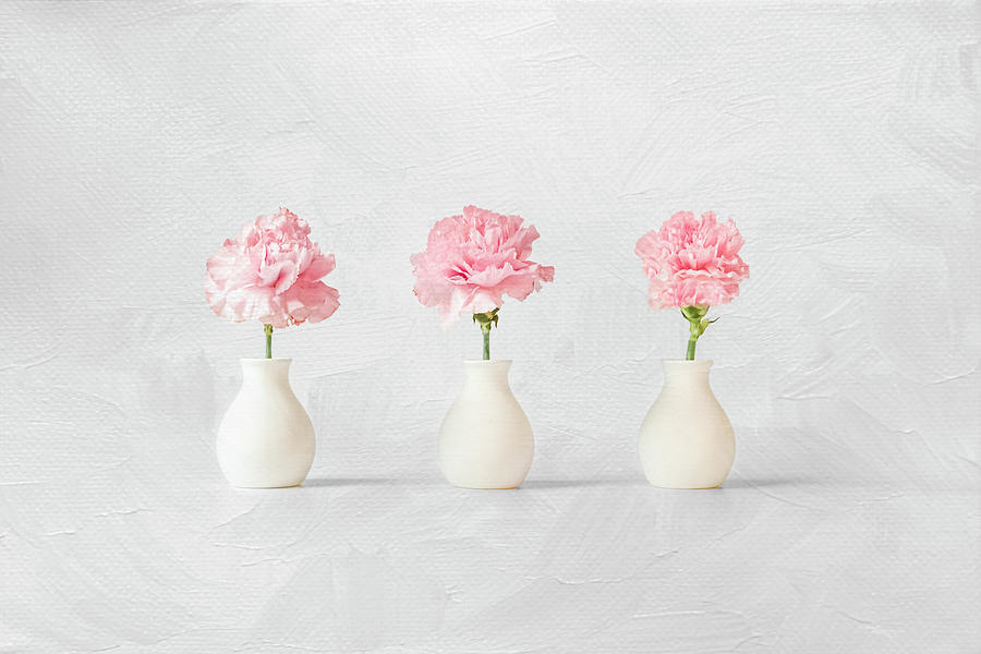 Bv1 - Pretty In Pink Carnations Photograph