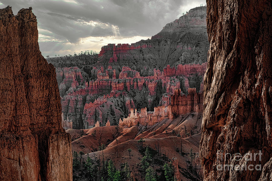 BW Color Bryce Canyon MIxed Media  Photograph by Chuck Kuhn