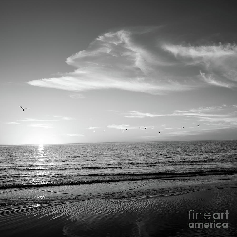 BW Quiet Reflections on the Seashore 2 of 2 SQUARE - Soothing Fall ...