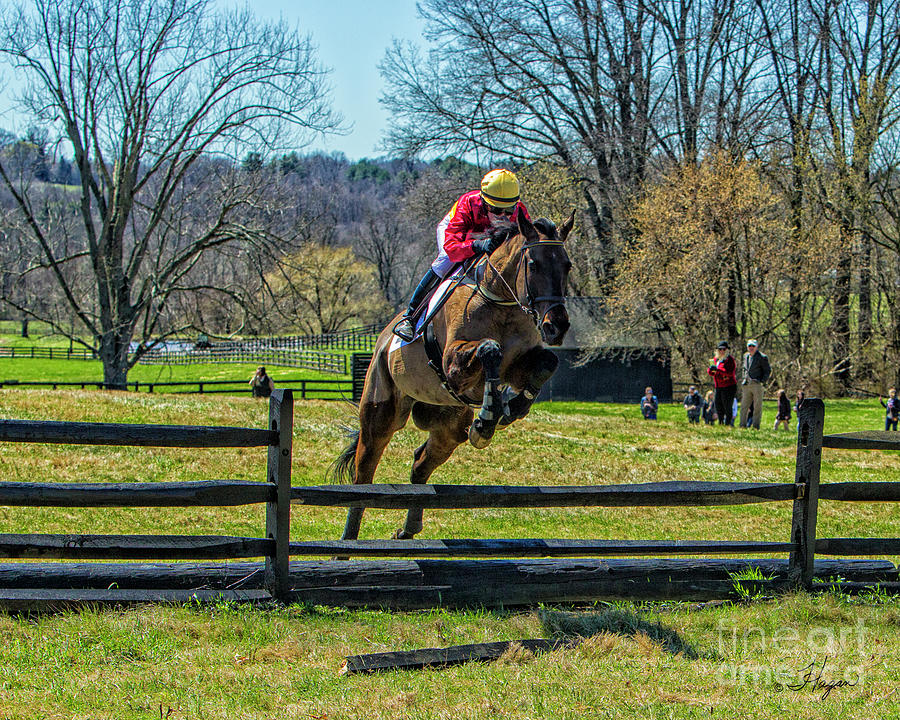 BW8E0055 Elkridge Harford Point To Point Photograph By David Joan Hagan ...