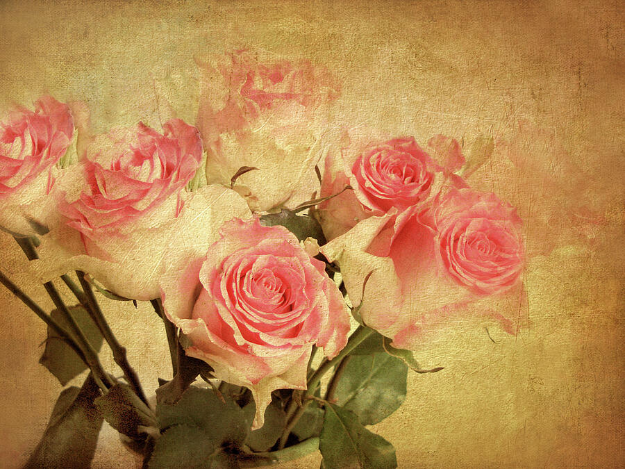 By Gone Roses Photograph by Jessica Jenney