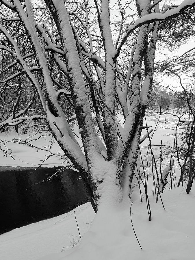By the dark brook. Kalimeenjoki bw Photograph by Jouko Lehto