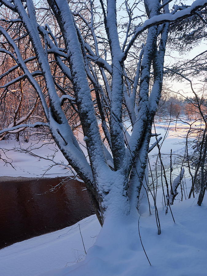 By the dark brook. Kalimeenjoki Photograph by Jouko Lehto
