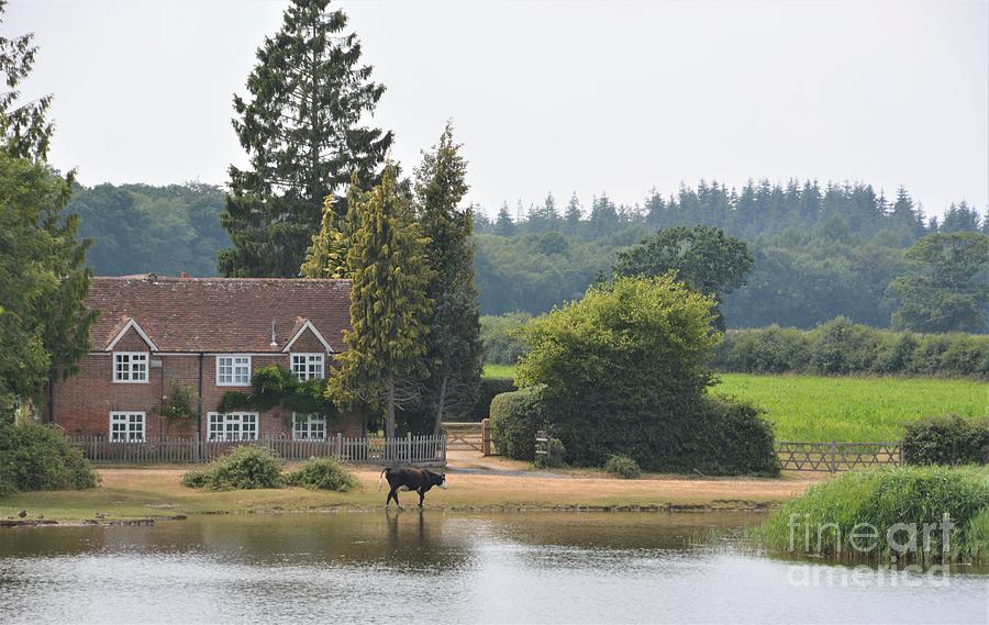 Beaulieu Pyrography - By The Lake by Antony Thompson Beaulieu Pyrography - By The Lake by Antony Thompson
