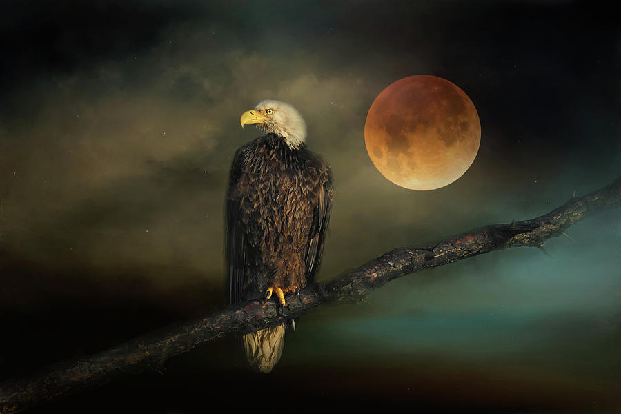 By The Light Of The Harvest Moon Photograph by Jai Johnson