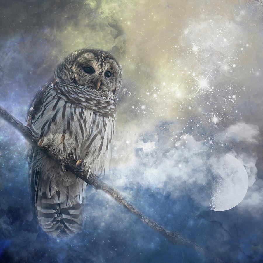 By The Light Of The Moon Photograph by Jai Johnson By The Light Of The Moon Photograph by Jai Johnson