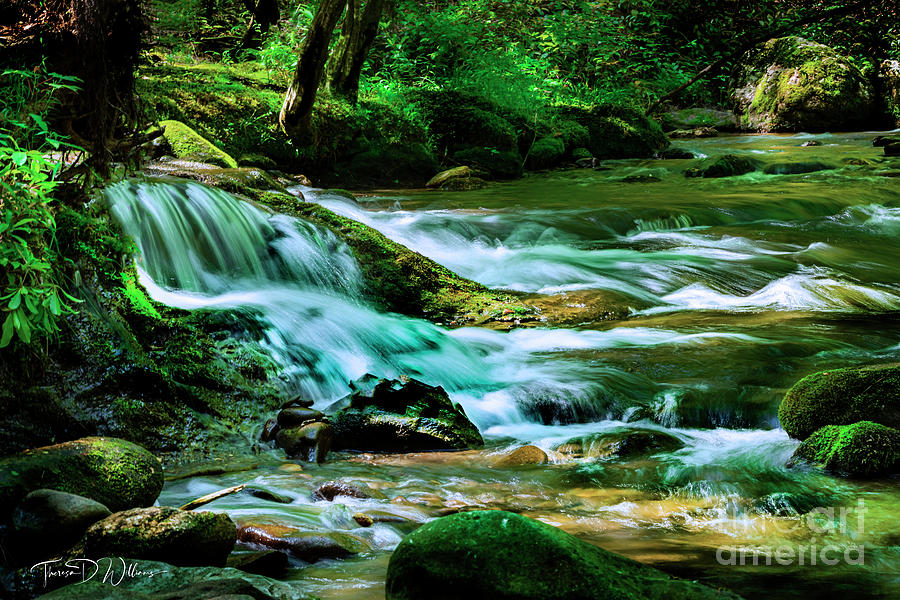 By the River in the Smokies Photograph by Theresa D Williams