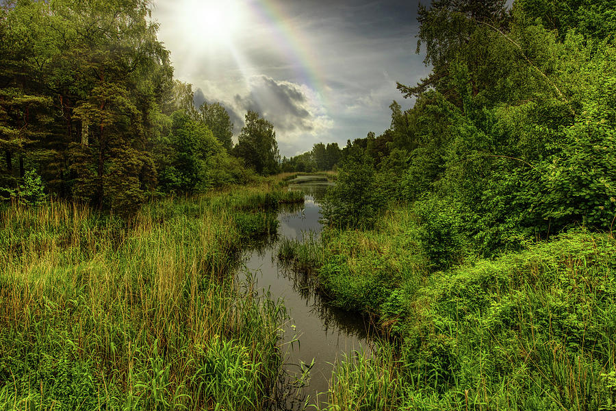 Nice Day In The Latvian Countryside  Photograph by Aleksandrs Drozdovs