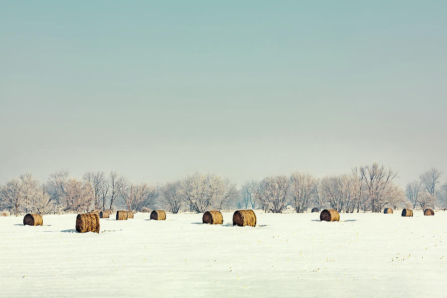 Bygone Bales Photograph by Todd Klassy