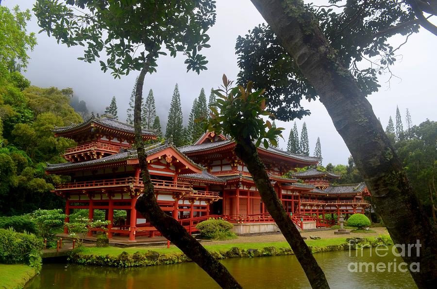 Byodo-in Through The Trees Photograph