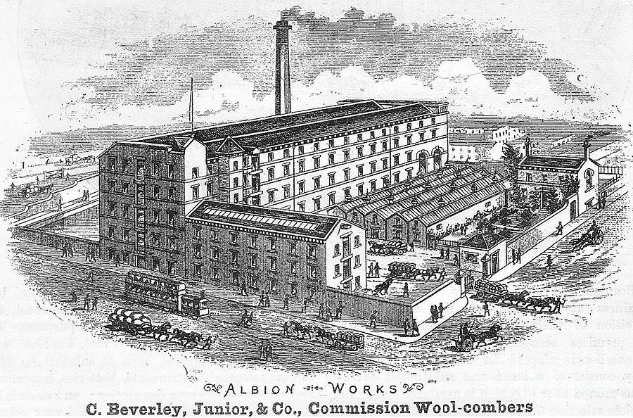 C, Beverley Junior and company, Commission Wool-combers, Albion Works, Bradford 1893 Drawing by Mick Flynn