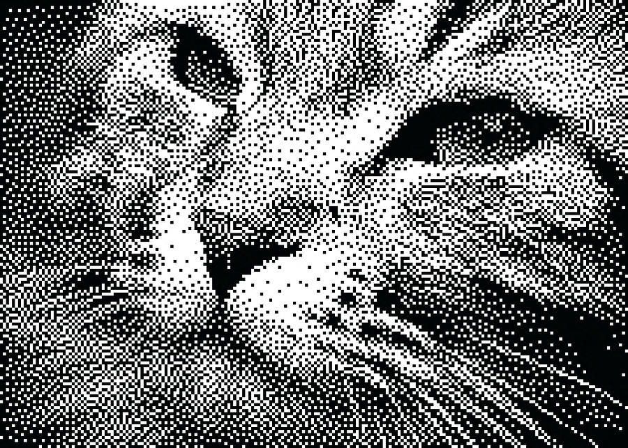 C64 BW Cute Cat Digital Art by Hakon Soreide
